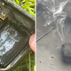 Imagen para el artículo titulado Su Apple Watch explotó, y entonces Apple le envió un acuerdo de confidencialidad